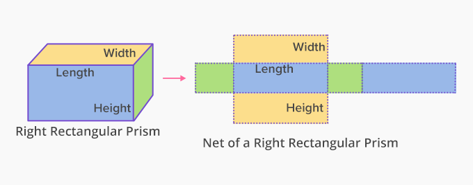 net of a rectangular prism