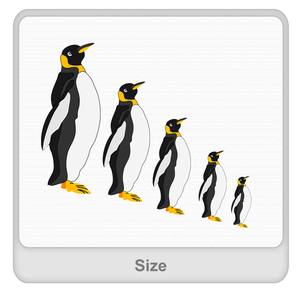 Size Worksheet Size Worksheet