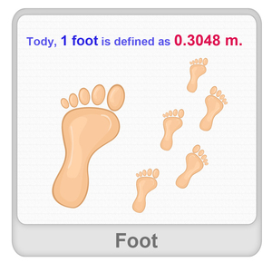 Foot Worksheet Foot Worksheet