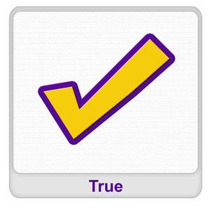 True Worksheet True Worksheet